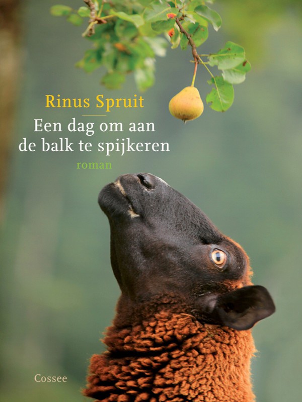 Een dag om aan de balk te spijkeren