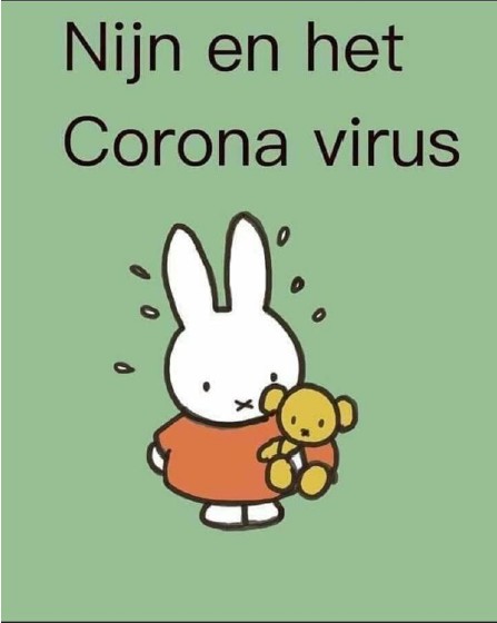 Nijn en het corona virus