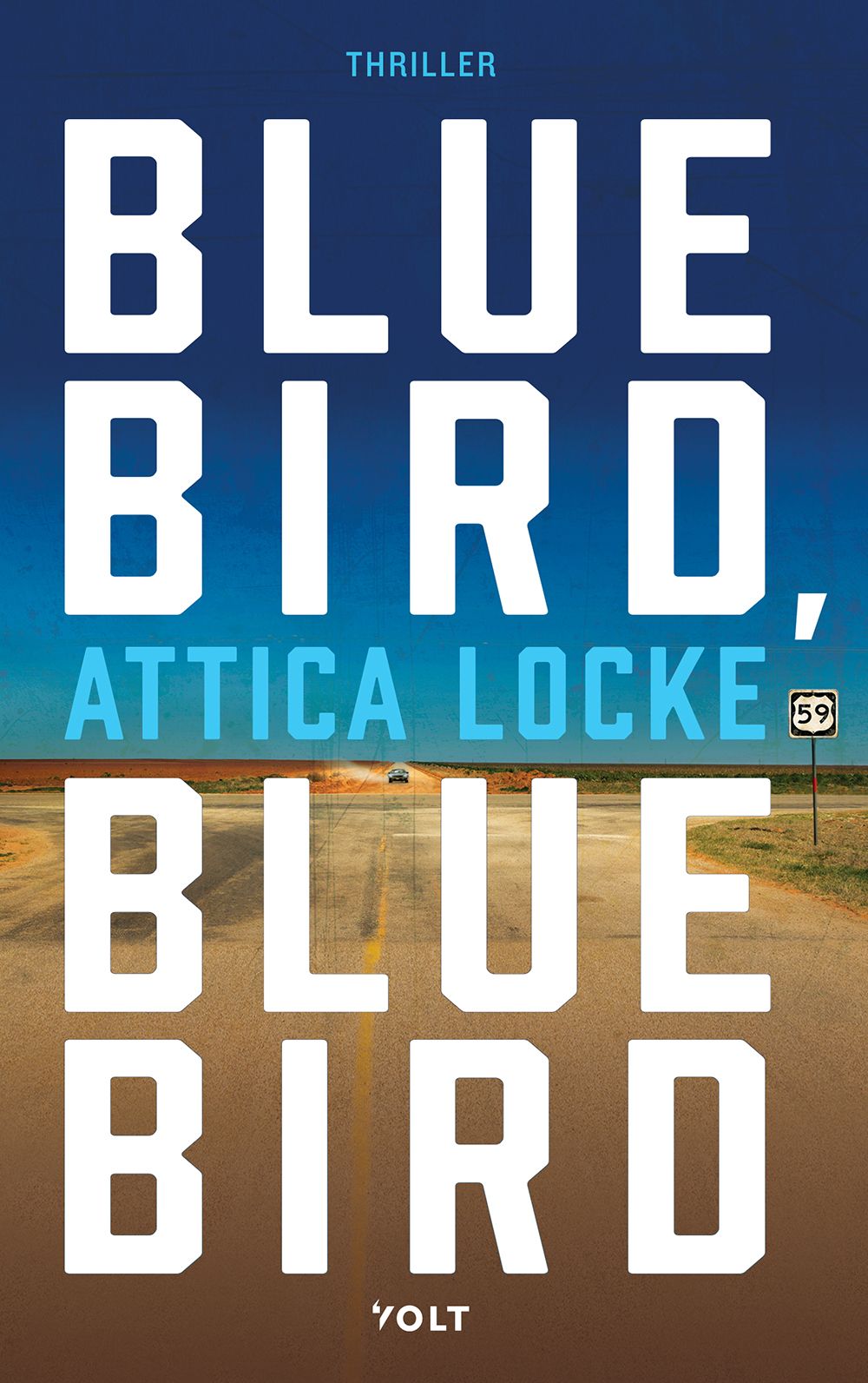 Blue Bird