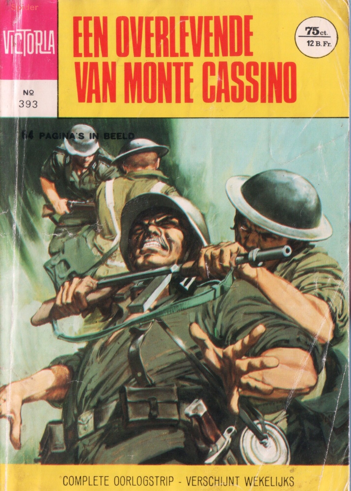 Een Overlevende Van Monte Cassino