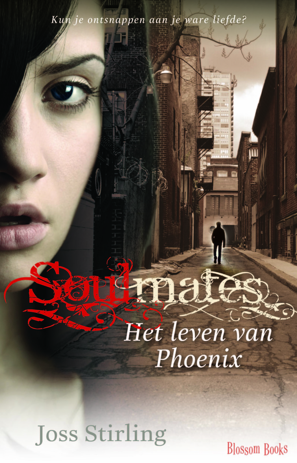 Het verhaal van Phoenix