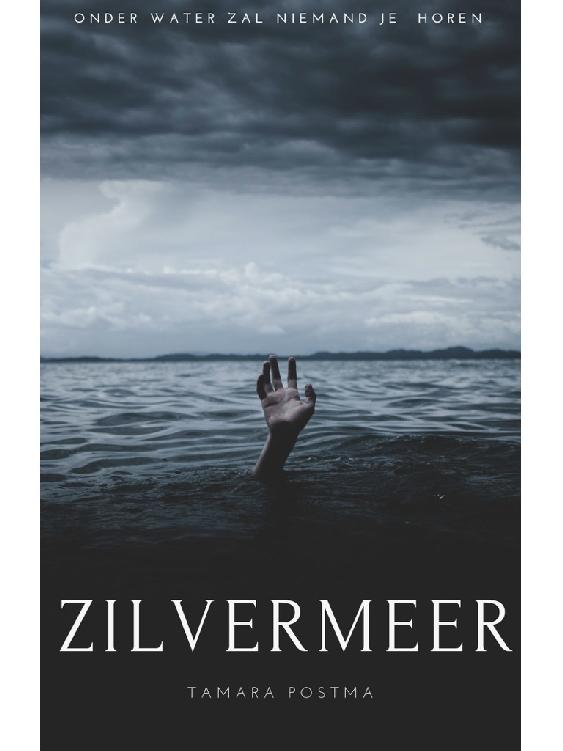 zilvermeer (1)