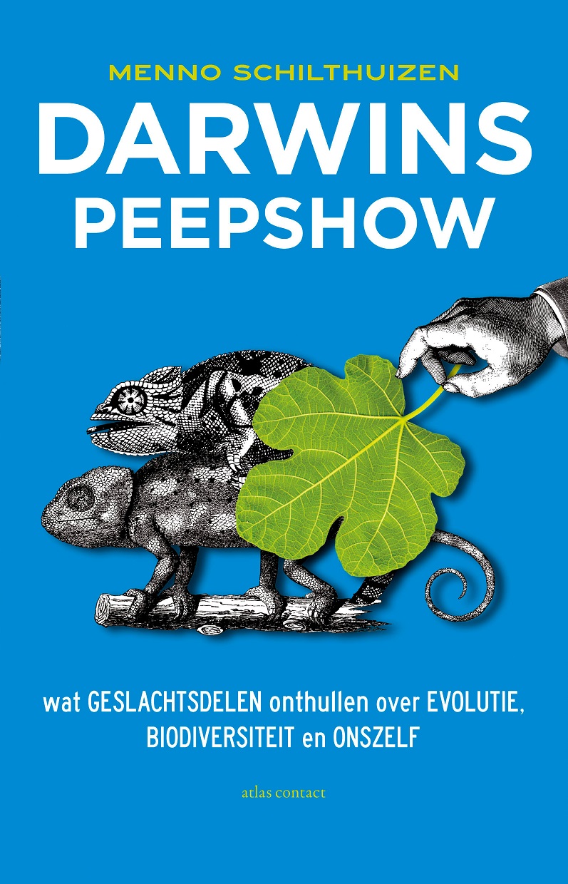Darwins peepshow