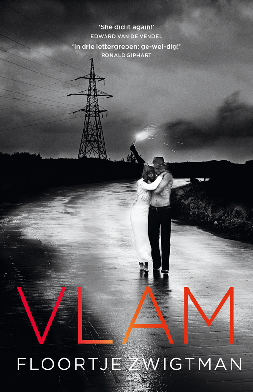 Vlam