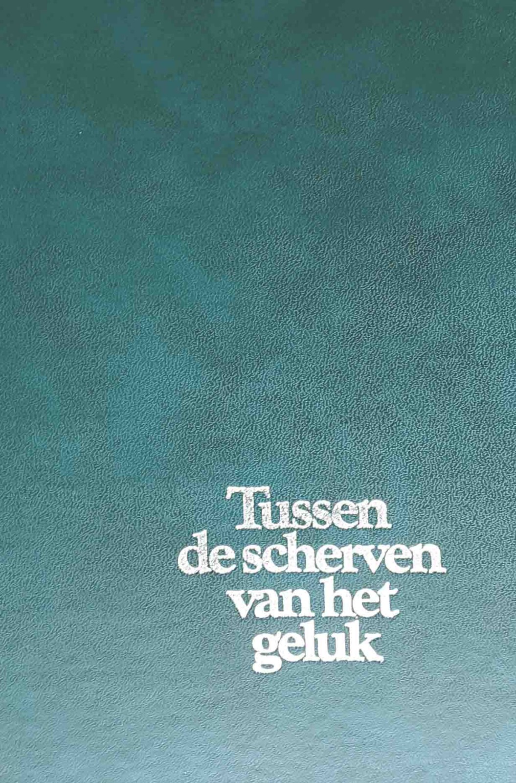 Tussen de scherven van het geluk