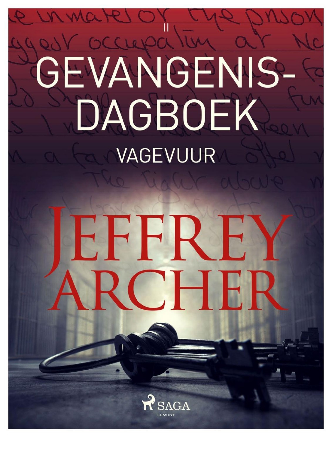 Gevangenisdagboek II - Vagevuur