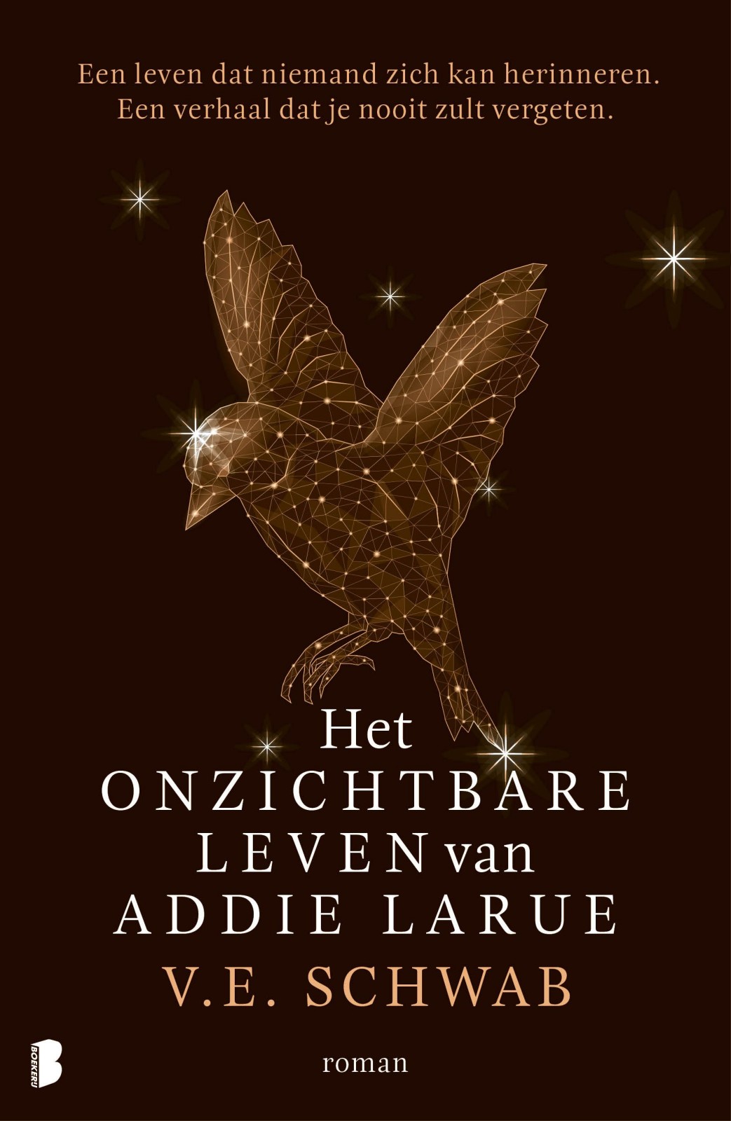 Het onzichtbare leven van Addie LaRue_epub