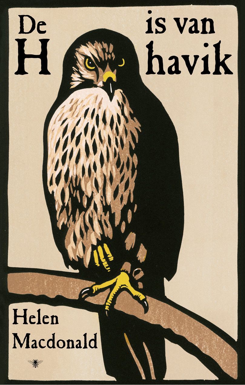 De H is van havik