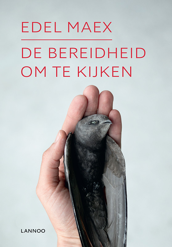 De bereidheid om te kijken