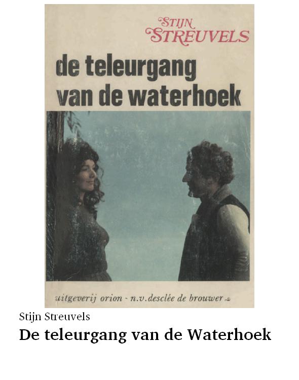 De teleurgang van de Waterhoek