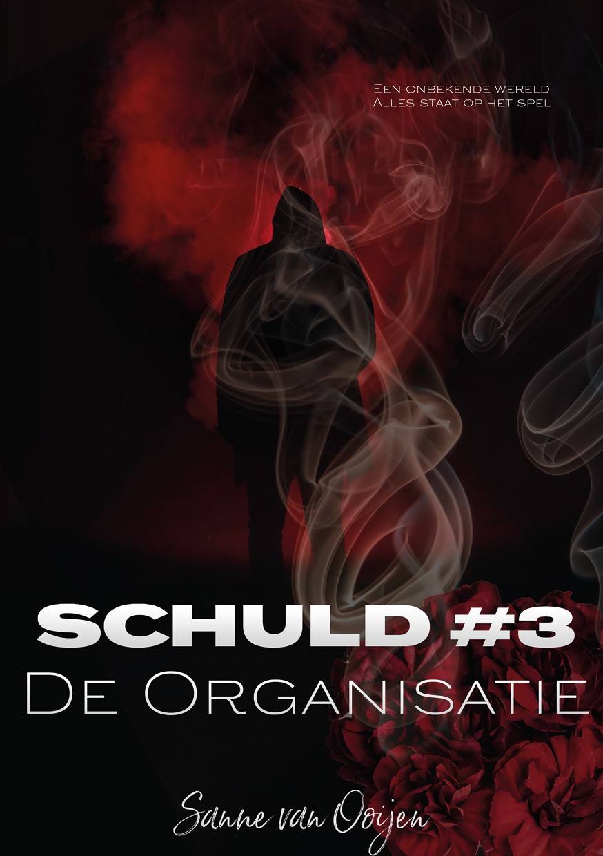 Schuld #3 - De Organisatie