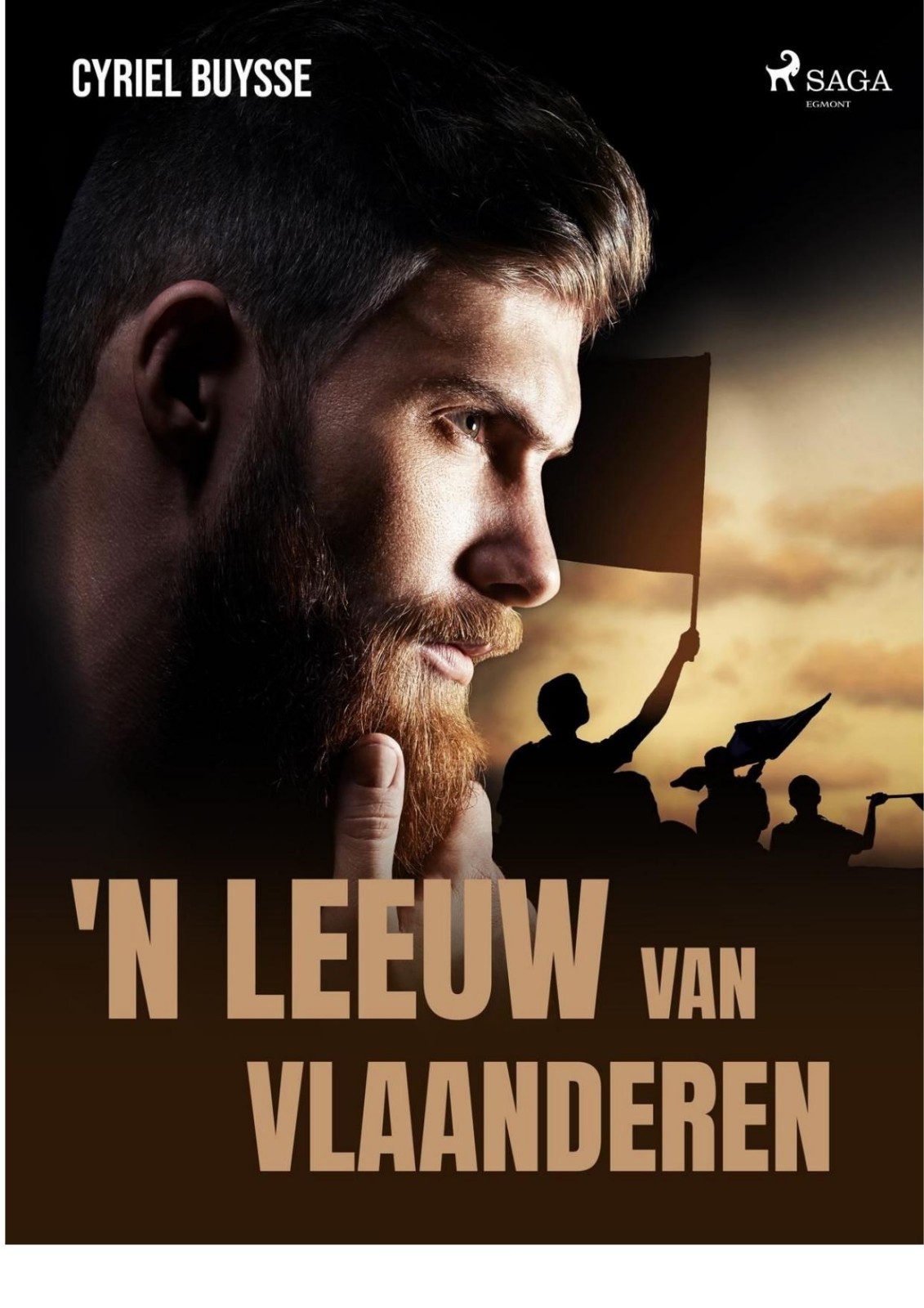 'n Leeuw van Vlaanderen