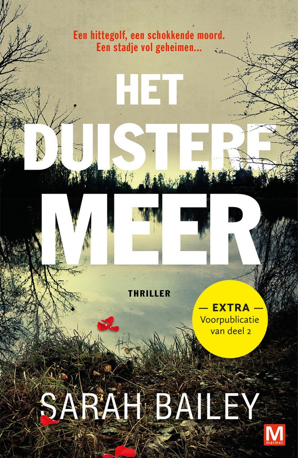 Het Duistere Meer