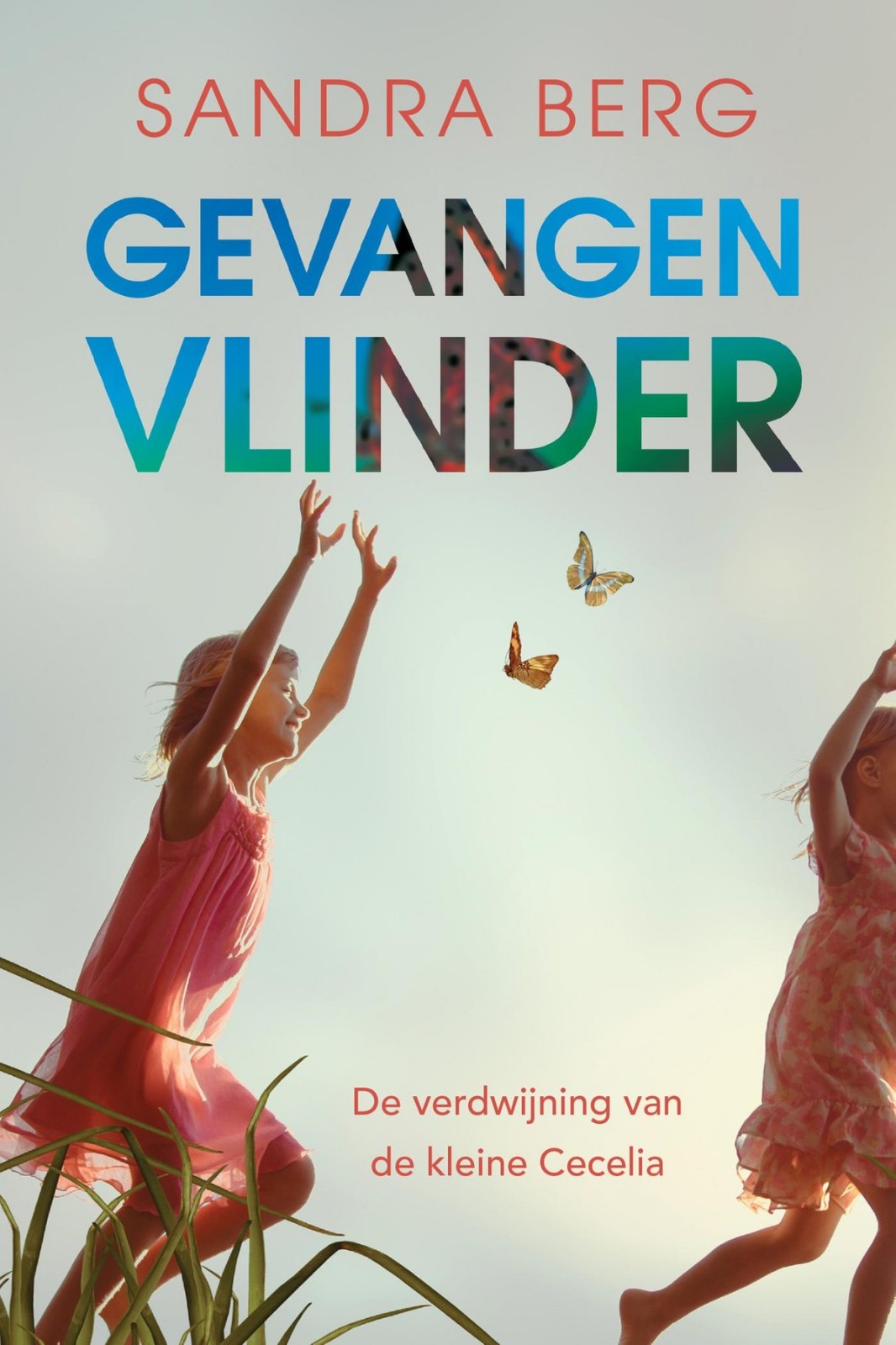 Gevangen Vlinder