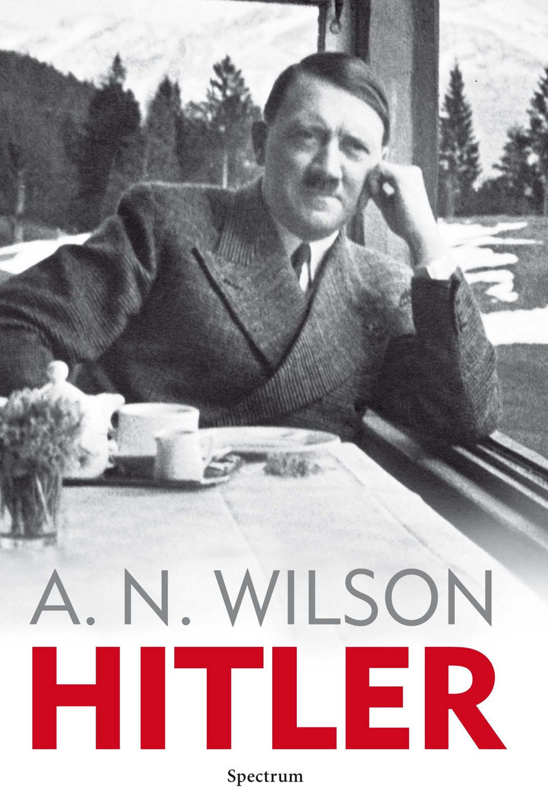 Hitler: een korte biografie