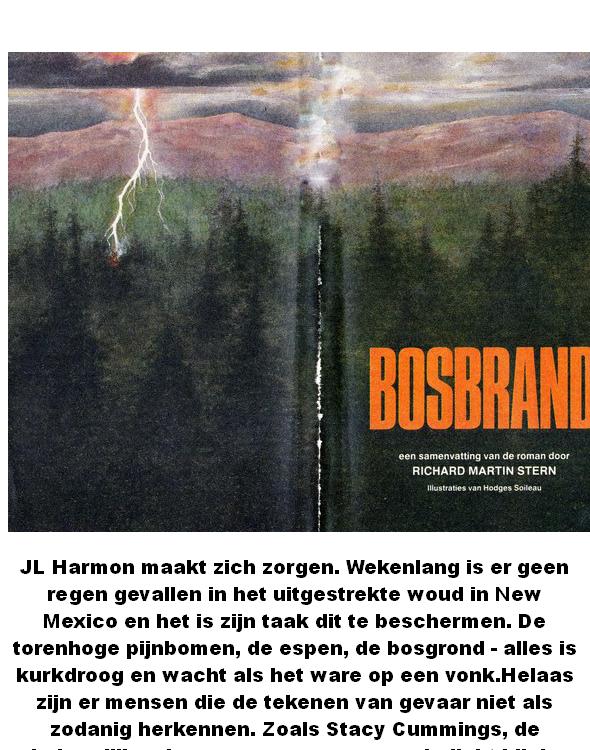 Bosbrand