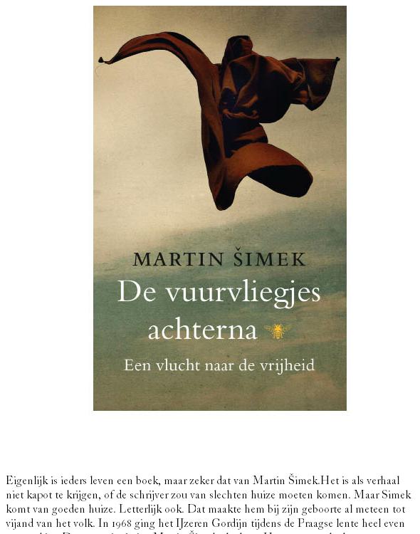 De vuurvliegjes achterna