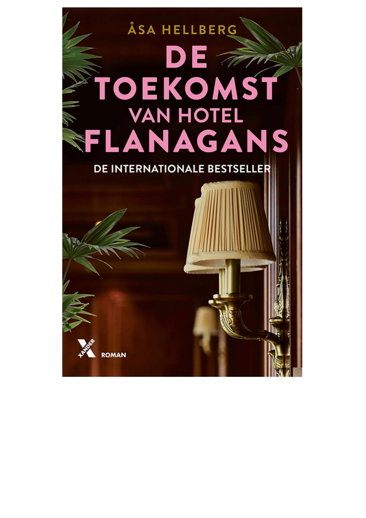 De toekomst van Hotel Flanagans