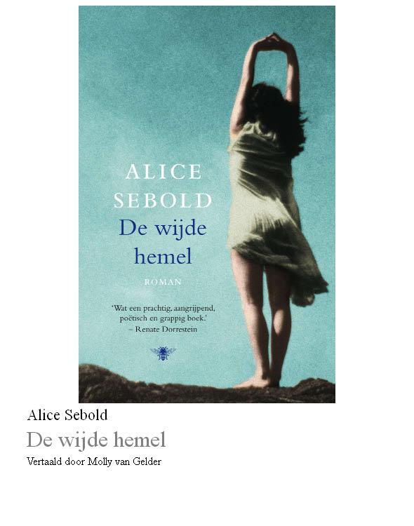 Wijde hemel