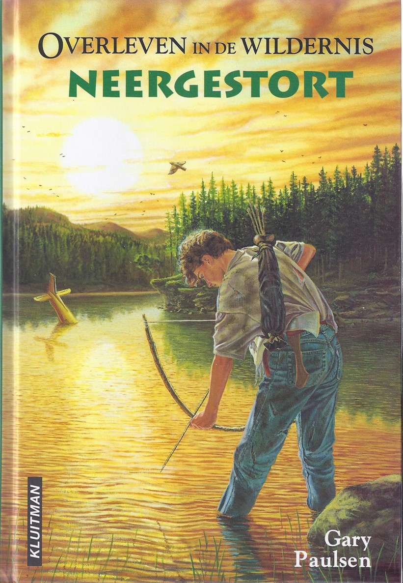 1. Neergestort