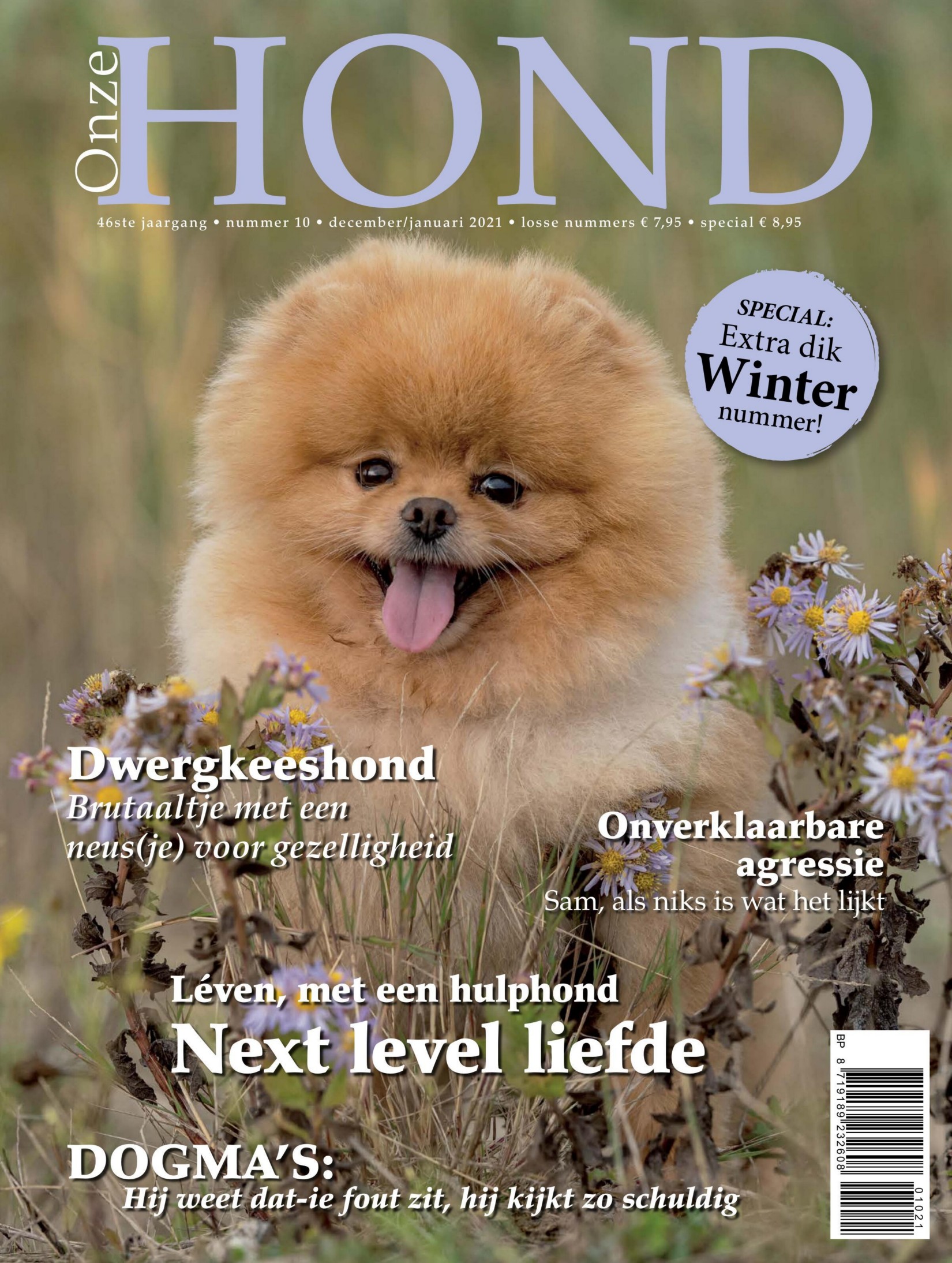 Onze Hond