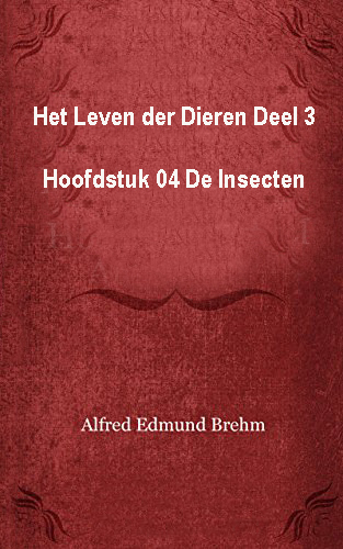 Het Leven der Dieren, Deel 3, Hoofdstuk 04: De Insecten