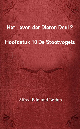 Het Leven der Dieren: Deel 2, Hoofdstuk 10: De Stootvogels
