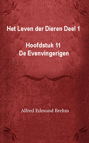 Het Leven der Dieren: Deel 1, Hoofdstuk 11: De Evenvingerigen