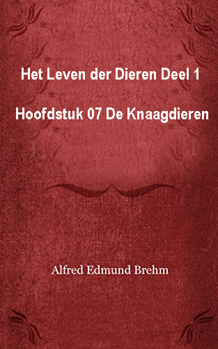 Het Leven der Dieren: Deel 1, Hoofdstuk 07: De Knaagdieren