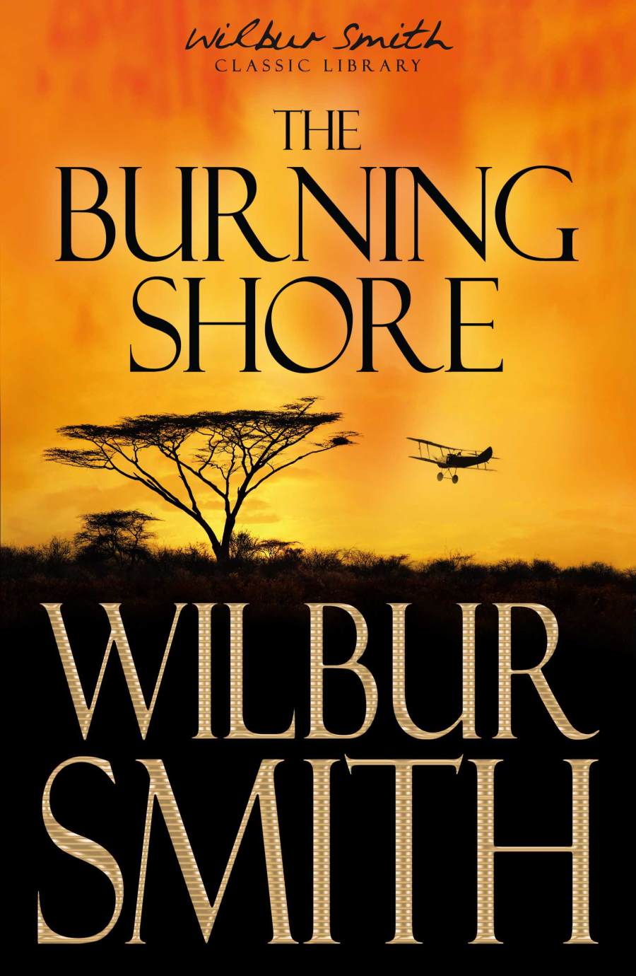 Wilbur Smith - Burning Shore