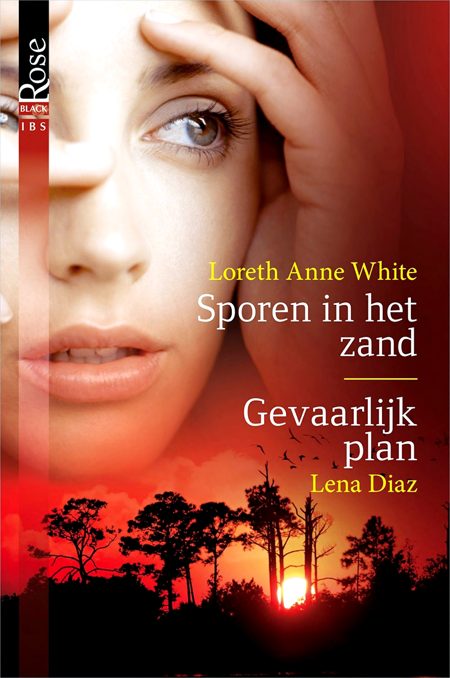 Sporen in het zand & Gevaarlijk plan