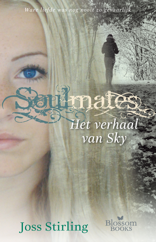 Het verhaal van Sky