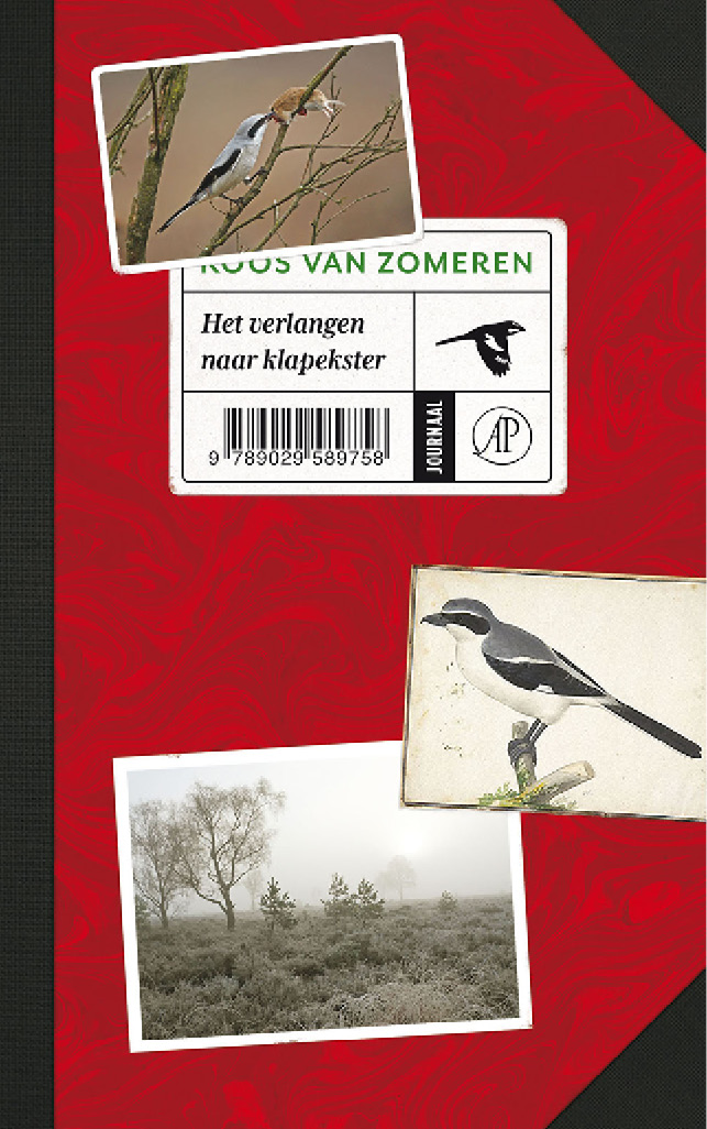Het verlangen naar klapekster