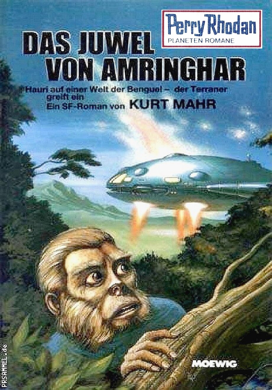 309 Das Juwel Von Amringhar