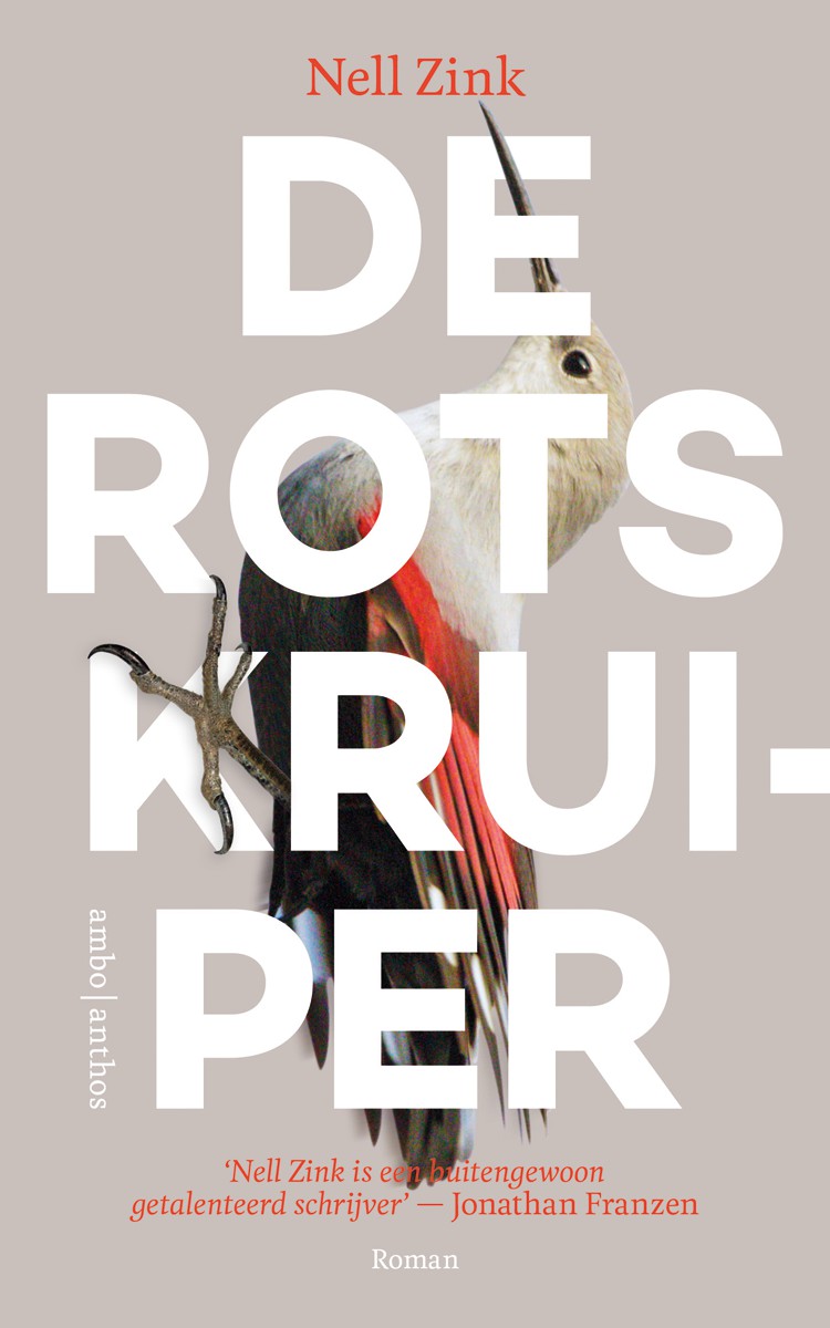 De rotskruiper