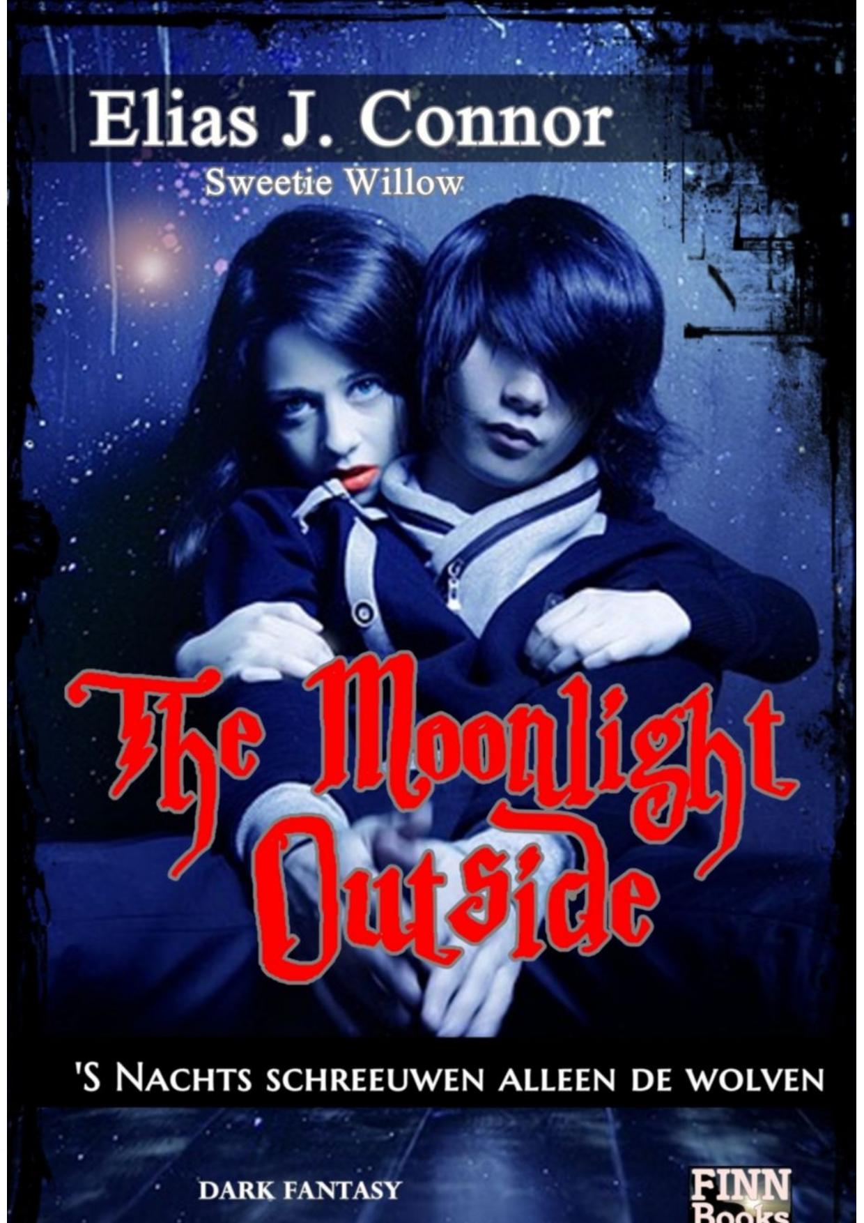 The Moonlight Outside