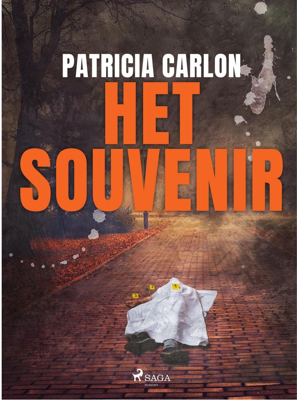 Het souvenir