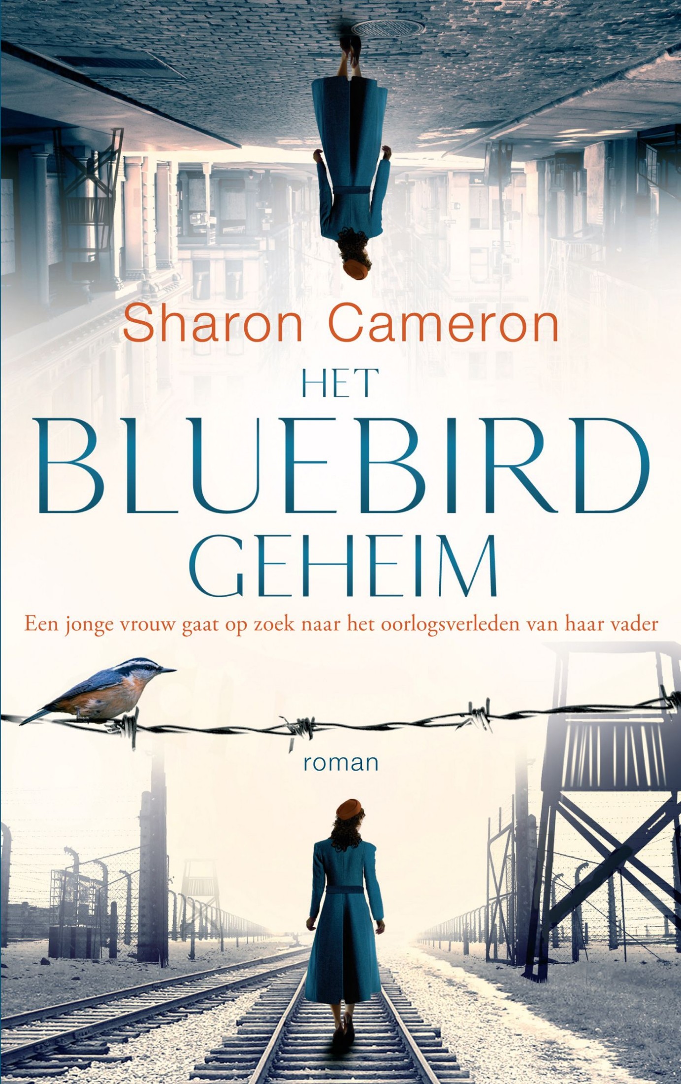Het bluebirdgeheim