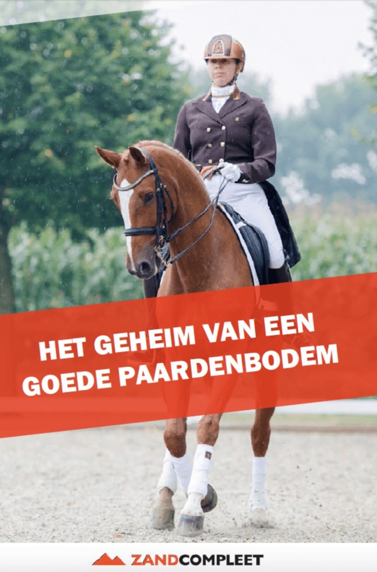 Het geheim van een goede paardenbodem