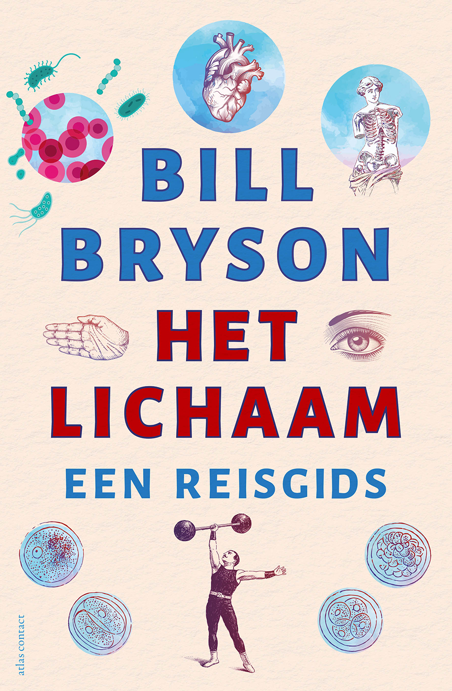Het lichaam