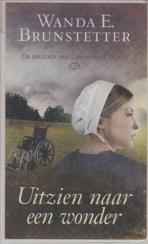 De bruiden van Lancaster County 2 - Uitzien naar een wonder