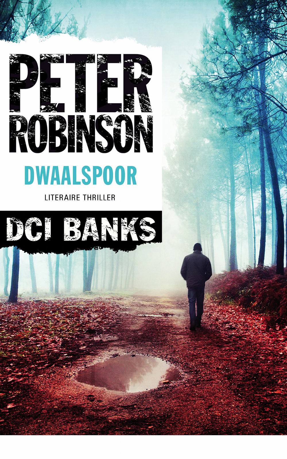 Dwaalspoor