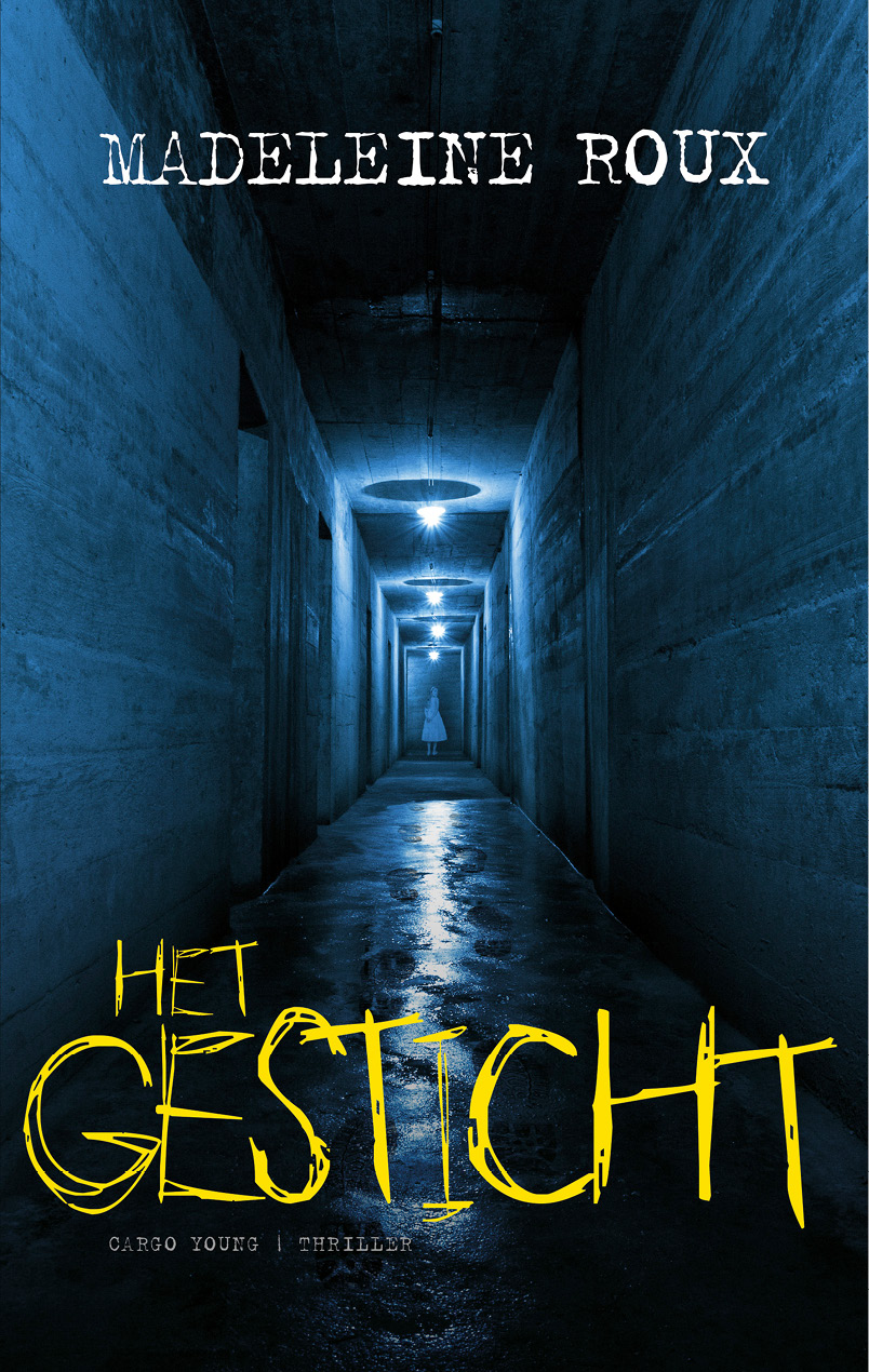 Het Gesticht