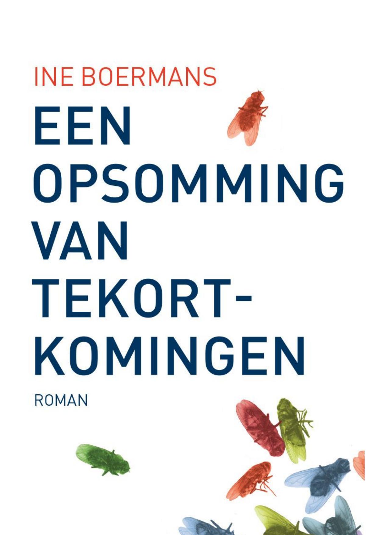 Een opsomming van tekortkomingen