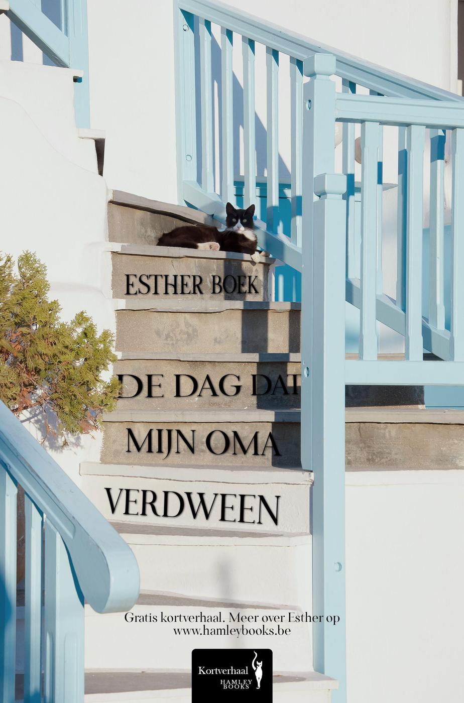 De dag dat mijn oma verdween