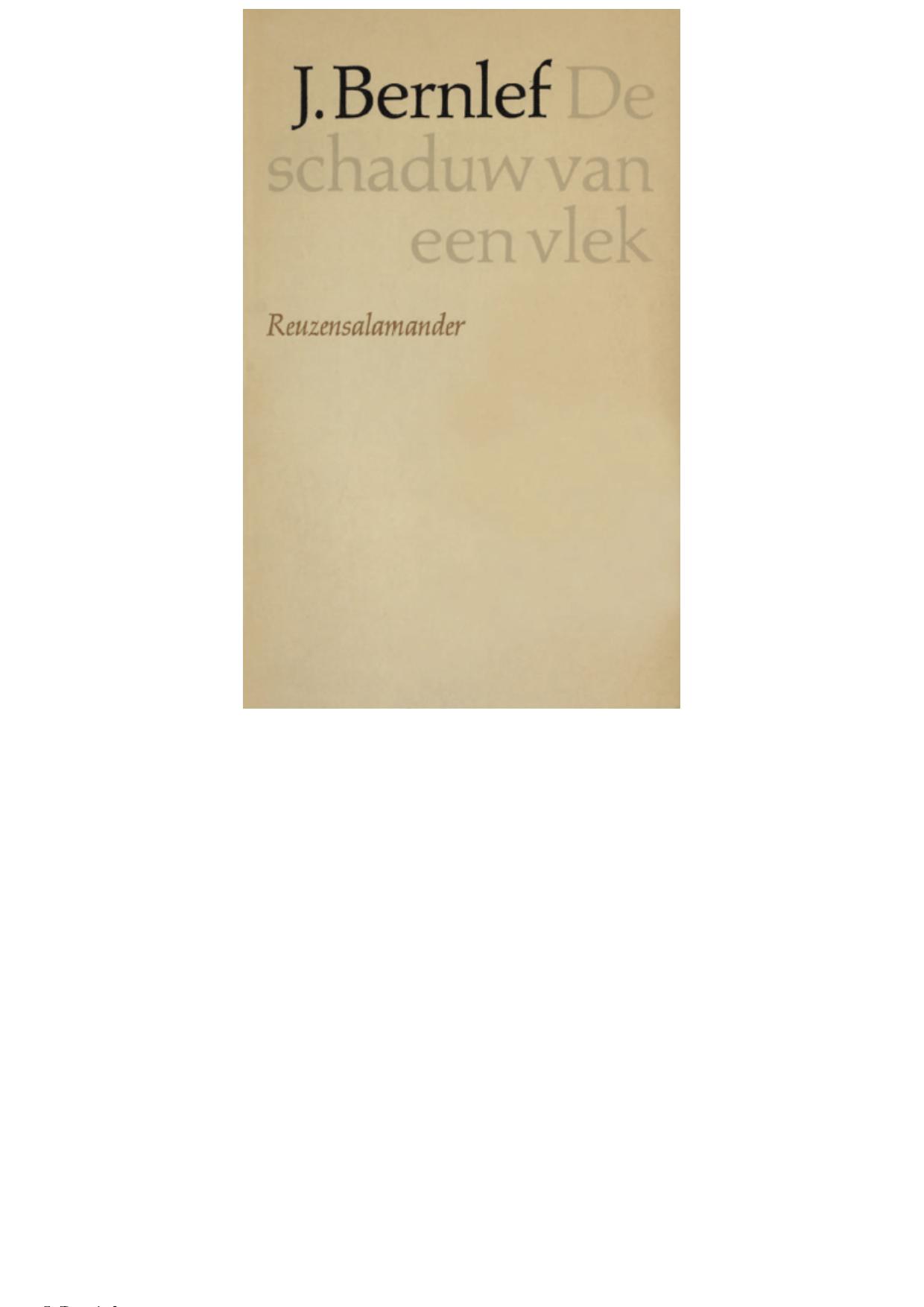 De schaduw van een vlek