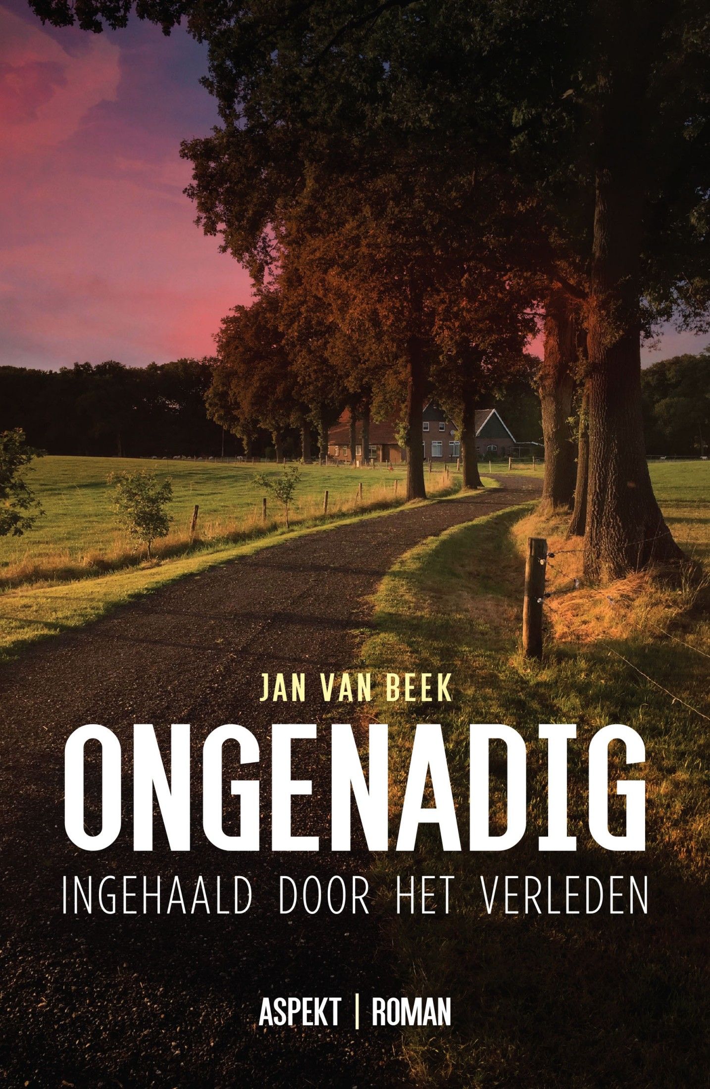 Ongenadig