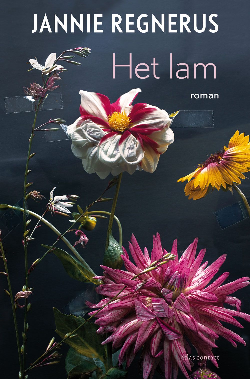 Het lam