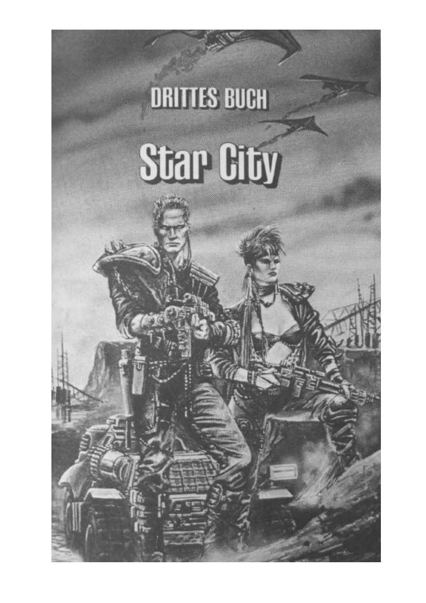 Bastei 23072c - Ryder Hook 03 - Star City