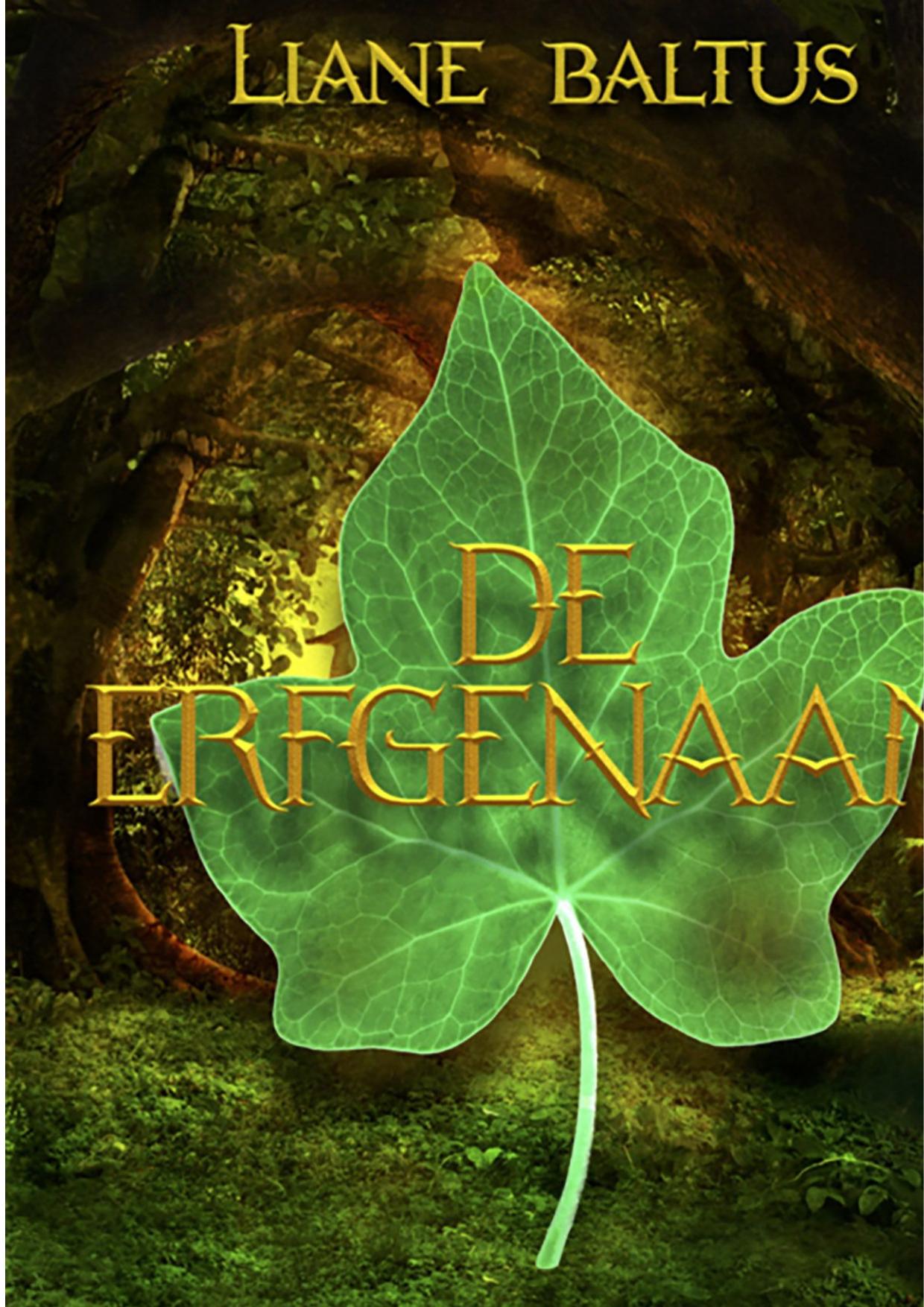 De Erfgenaam